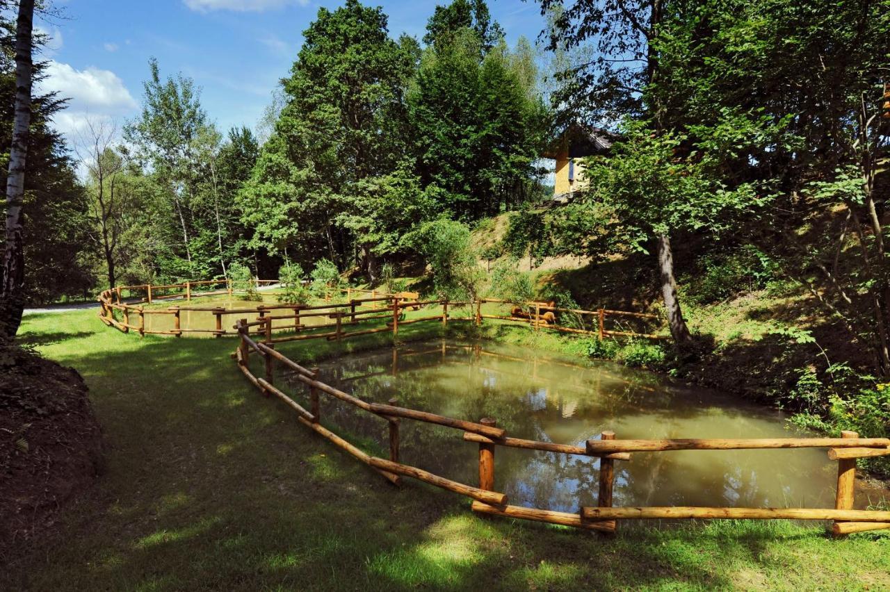 Osada Sroczy Jar Villa Rozpucie Dış mekan fotoğraf