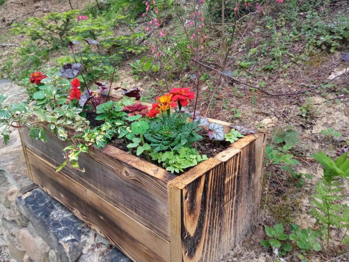 Osada Sroczy Jar Villa Rozpucie Dış mekan fotoğraf